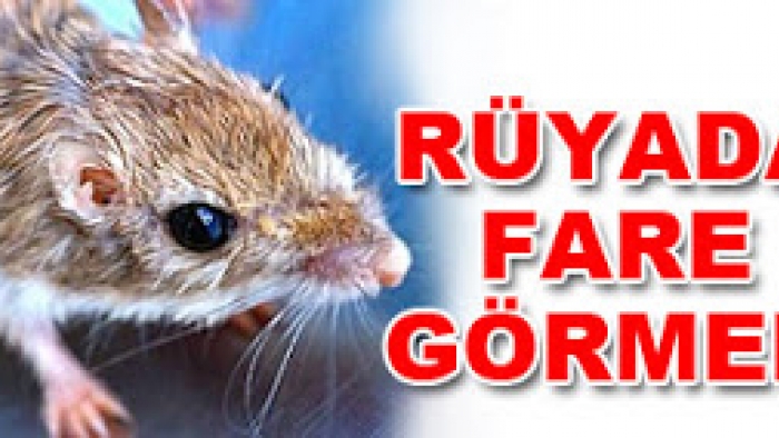 Rüyada fare görmek