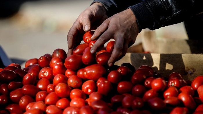Türkiye ambargosunun ardından Rusya'da salatalık ve domates fiyatları fırladı
