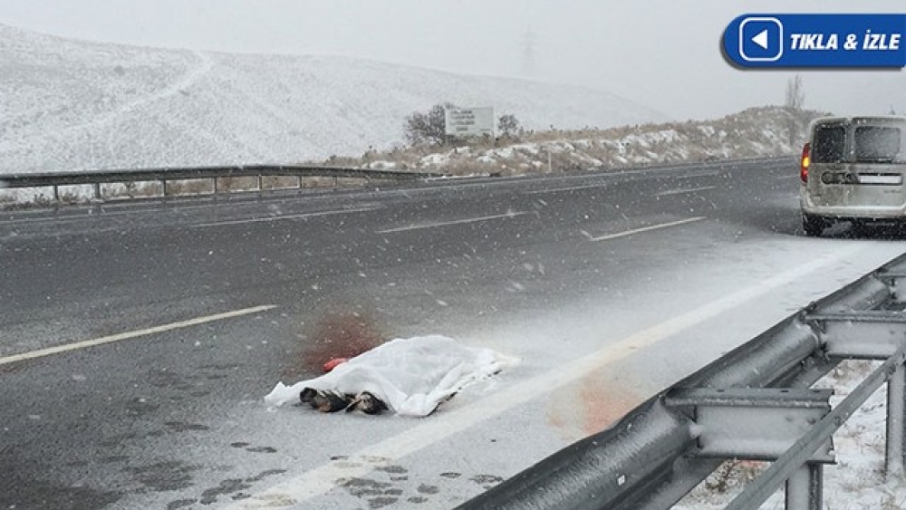 İKİ BÜYÜK ŞEHİRDE VAHŞET! YOL KENARINDA BULUNDULAR...