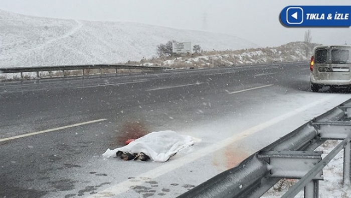 İKİ BÜYÜK ŞEHİRDE VAHŞET! YOL KENARINDA BULUNDULAR...