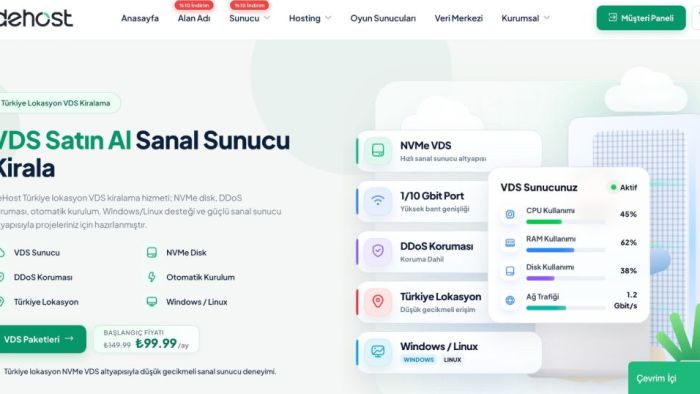 Kesintisiz Oyun Deneyimi ve Yüksek Performans: Dehost ile Güçlü Sunucu Altyapısı