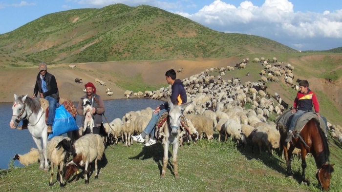 ​Göçerlerin zorlu yayla yolculuğu başladı