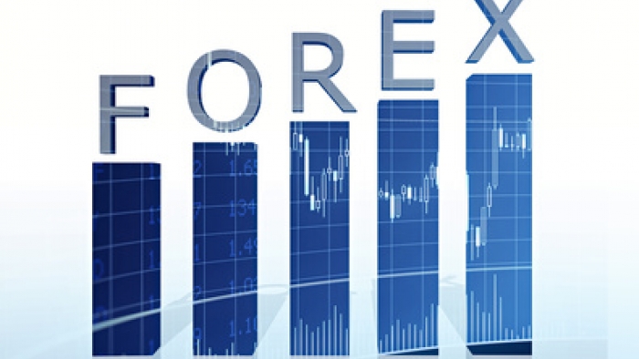 Yatırımlarınıza Yön Vermek İçin Forex İle Tanışın