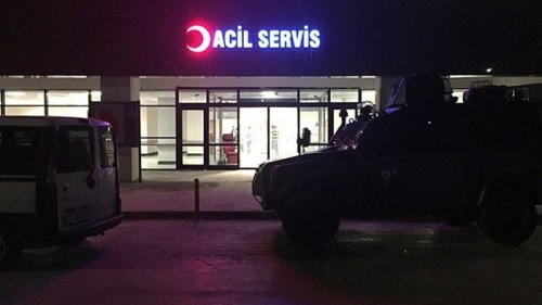 Mardin'de yaşayan Suriyeli kadın, domuz gribinden öldü