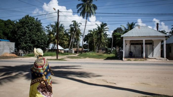 Mozambik kuşatılmış gaz kasabasında düzinelerce öldürüldü